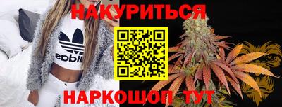 прущие грибы Изобильный