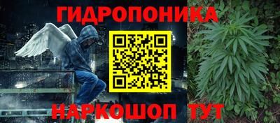 прущие грибы Изобильный