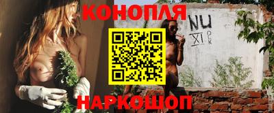 Альфа ПВП Ипатово