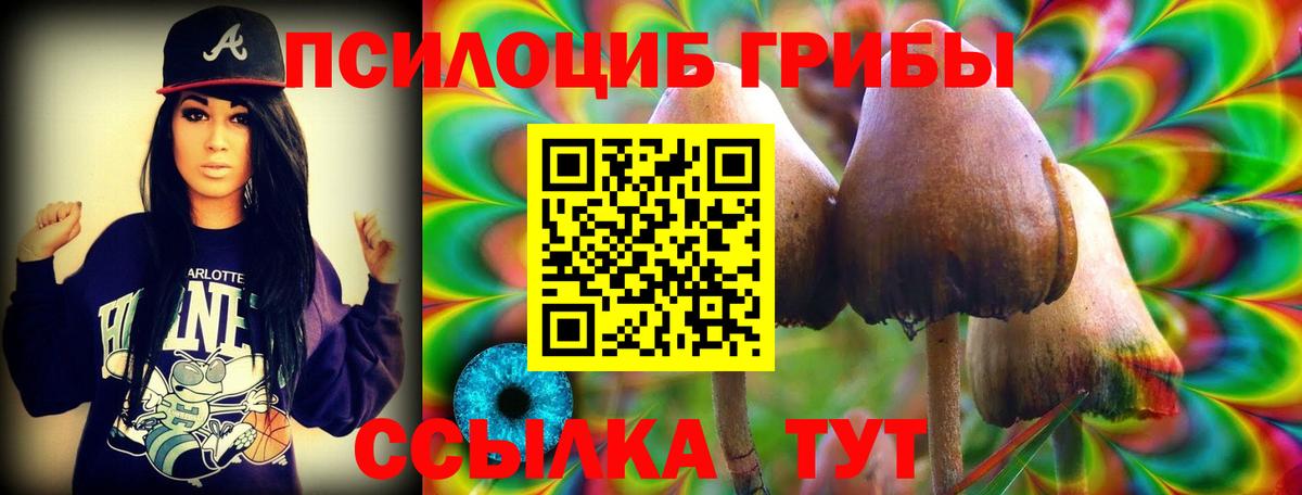 Галлюциногенные грибы прущие грибы  Вход с VPN  Темрюк 